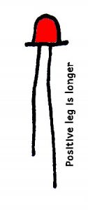 pohutakawacardsLEDpositiveleglonger pohutakawacardsLEDpositiveleglonger