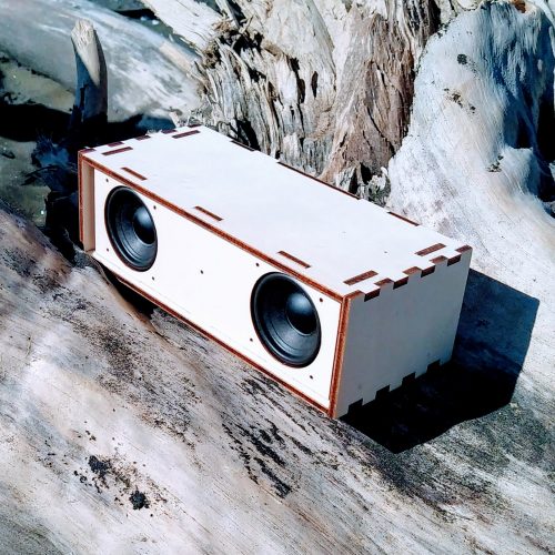 Wooden bluetooth speaker on driftwood at Muriwai beach.  DIY Bluetooth Speaker kit.