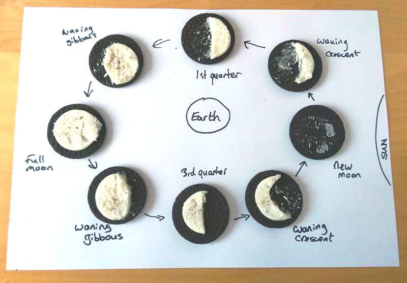 Oreo Moon Phases Learn about the moon using cookies - great STEM project!