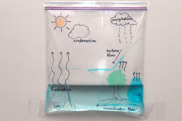 watercycle in a bag Our STEM newsletter curates ideas from all around the web. LIke this idea from Rookie Parenting!
